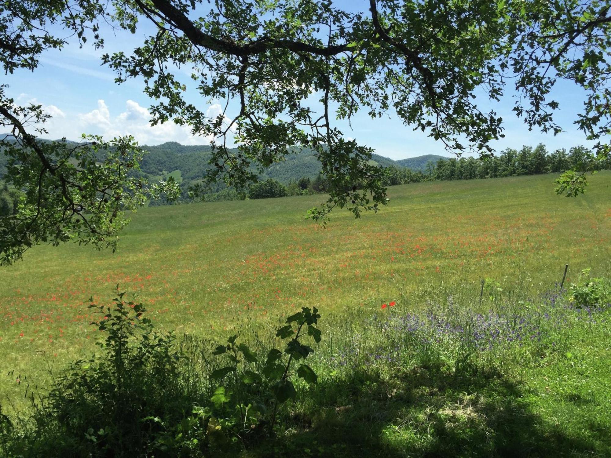 Farmhouse In Apecchio With Swimming Pool Terrace Garden 빌라 외부 사진
